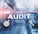 Interní audit - maximalizace potenciálu